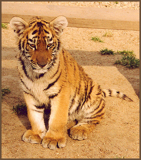 ge : 4 mois (au 17/10/04)